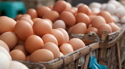Azerbaijan's egg self-sufficiency reaches 104% as domestic production exceeds demand