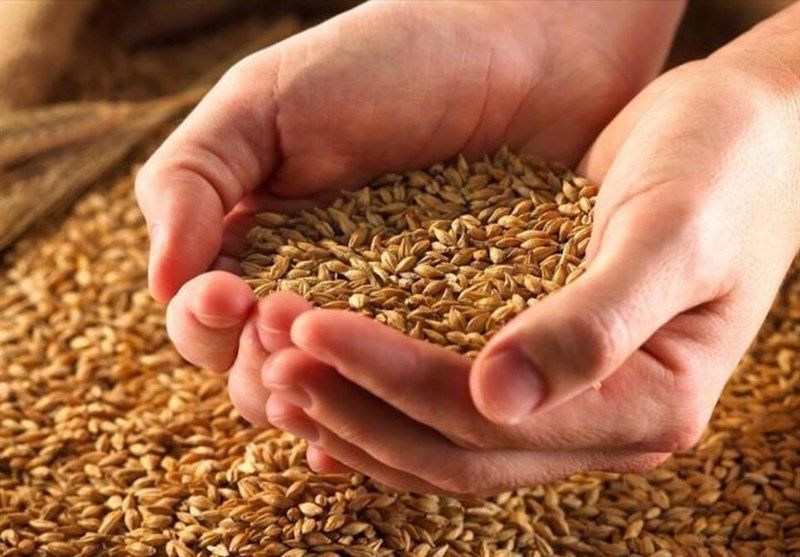 Bashkir sends 500 tons of wheat to Azerbaijan