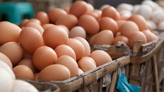 Azerbaijan, Turkiye to supply Russia with eggs