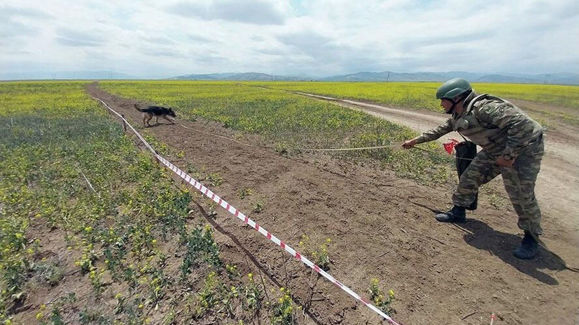 171 more mines found in liberated territories