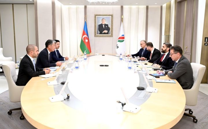 SOCAR discuss cooperation opportunities with Japan's bank holdings