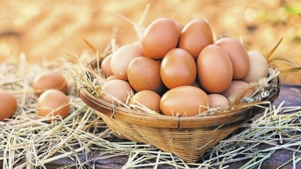 Economist: Eggs exports to Russia will boost poultry sector in Azerbaijan