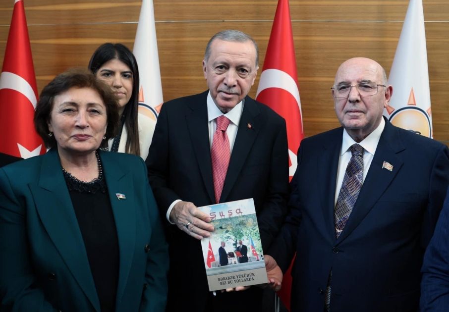 Turkish President receives Azerbaijani MPs [PHOTOS]