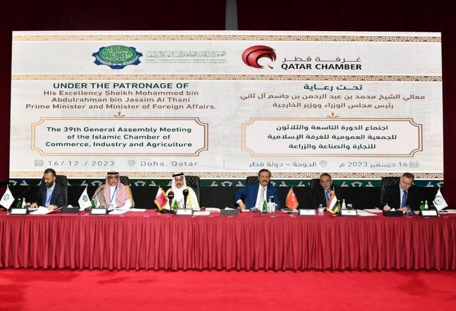 OIC Ministerial Conference discusses economic development in Doha [PHOTOS]