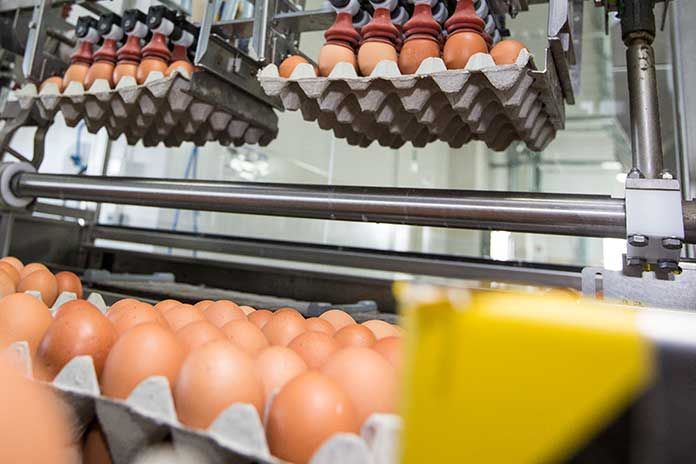 Azerbaijan reveals amount of food eggs exported to Russia