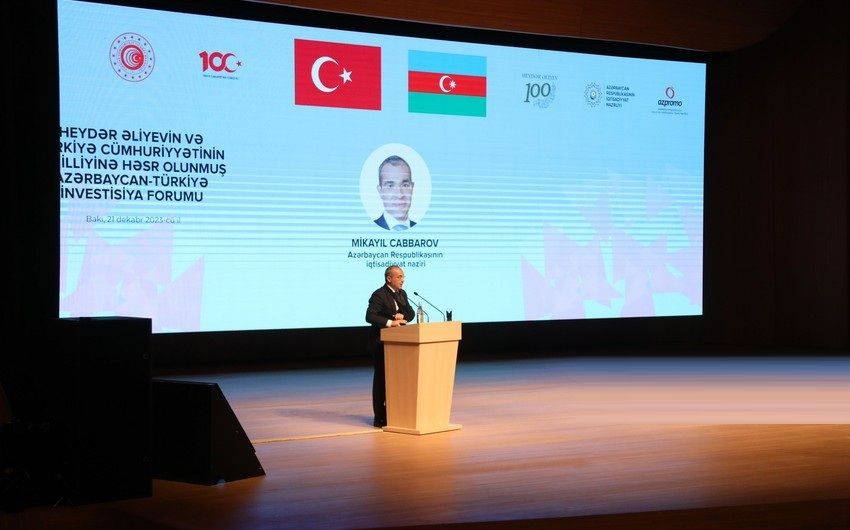 Minister reports trade turnover between Azerbaijan, Turkiye