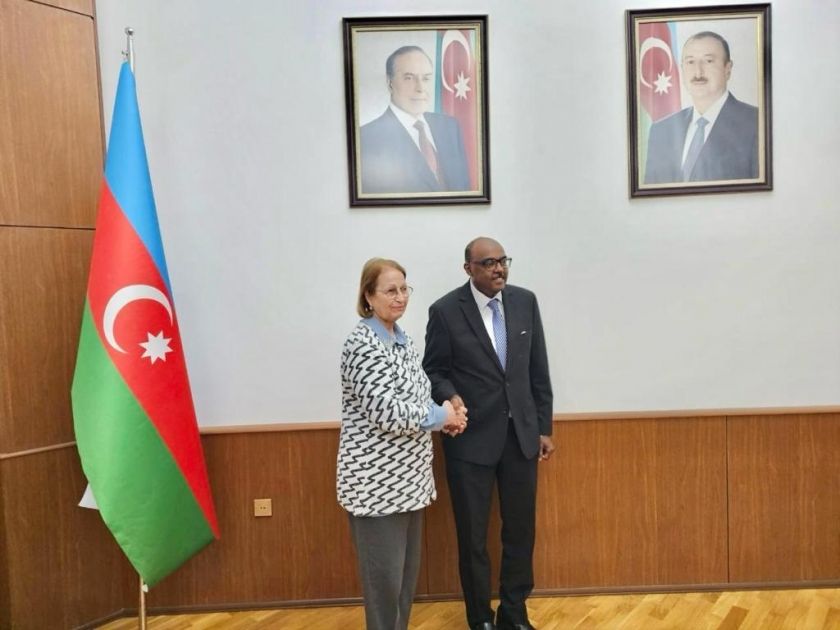Azerbaijan, OIC discuss expand cooperation in humanitarian field