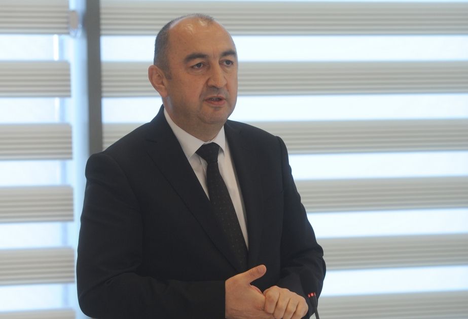 Over 3 million trees planted in Azerbaijan in 2023