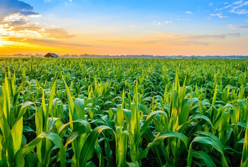 Azerbaijan sets up water treatment facility to improve irrigation system