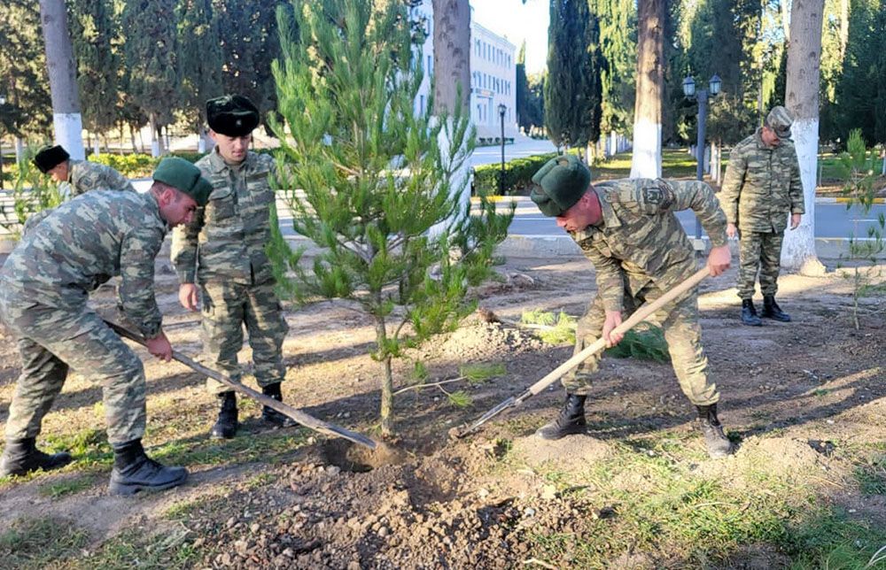 Azerbaijan Army holds tree-planting campaigns [PHOTOS]