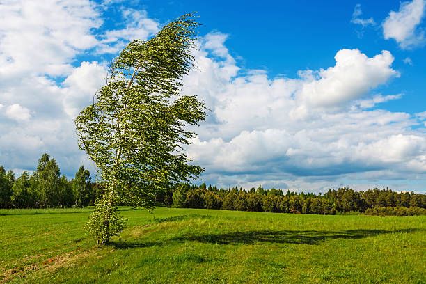 Azerbaijani Emergency Situations Ministry alerts people on upcoming weather condition