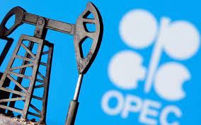 Experts: OPEC+ to limit verbal interventions in oil market for now