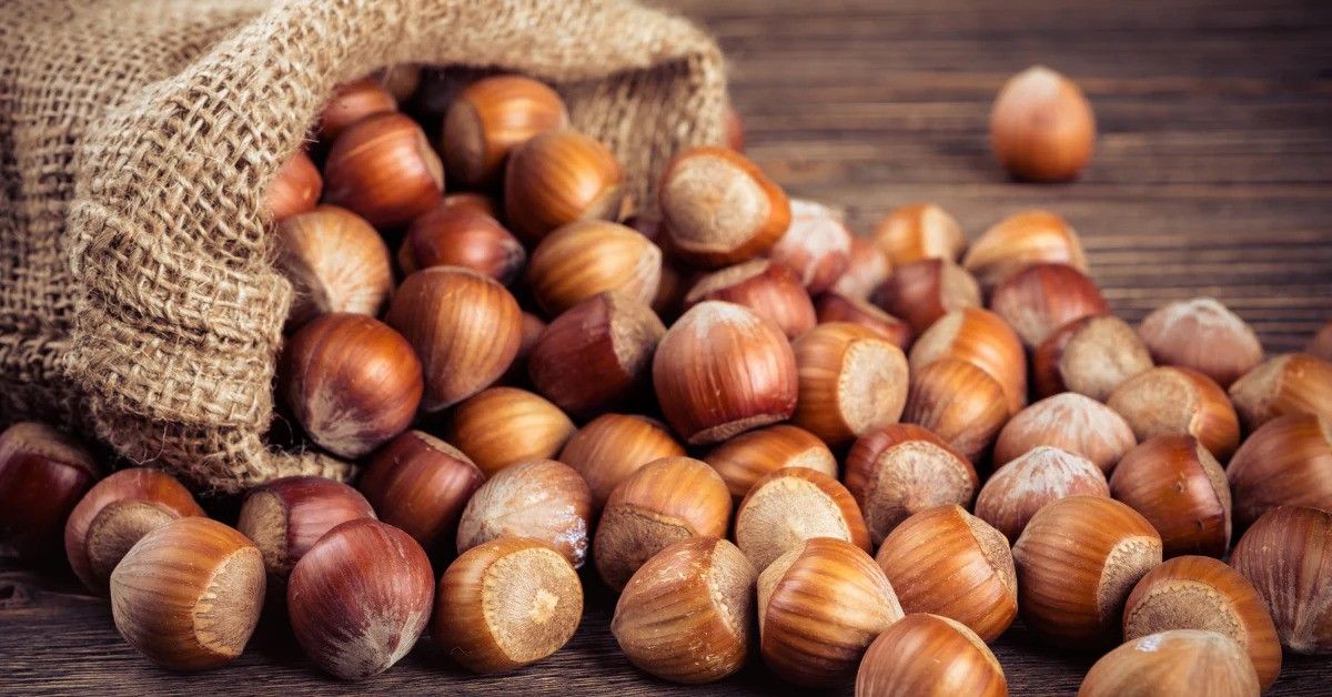 State programs implemented to boost production and exports of hazelnut in Azerbaijan