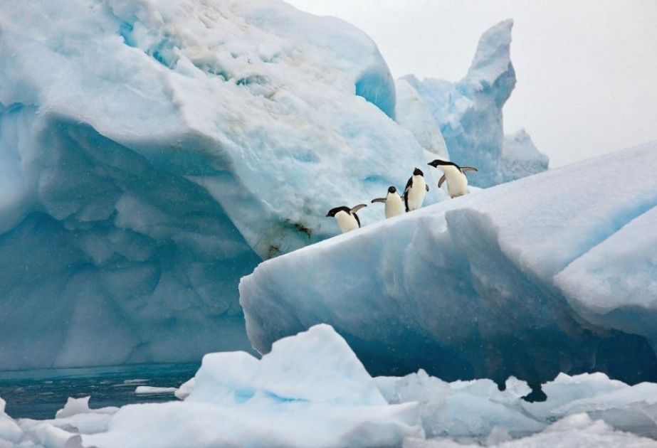 IAEA Scientific Expedition: Microplastics in Antarctic waters