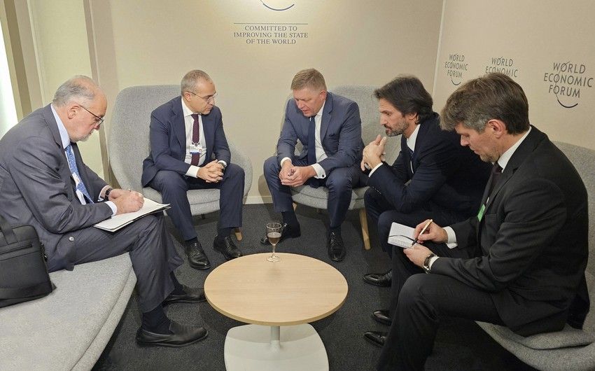 Azerbaijan discusses cooperation in field of energy with Slovakia