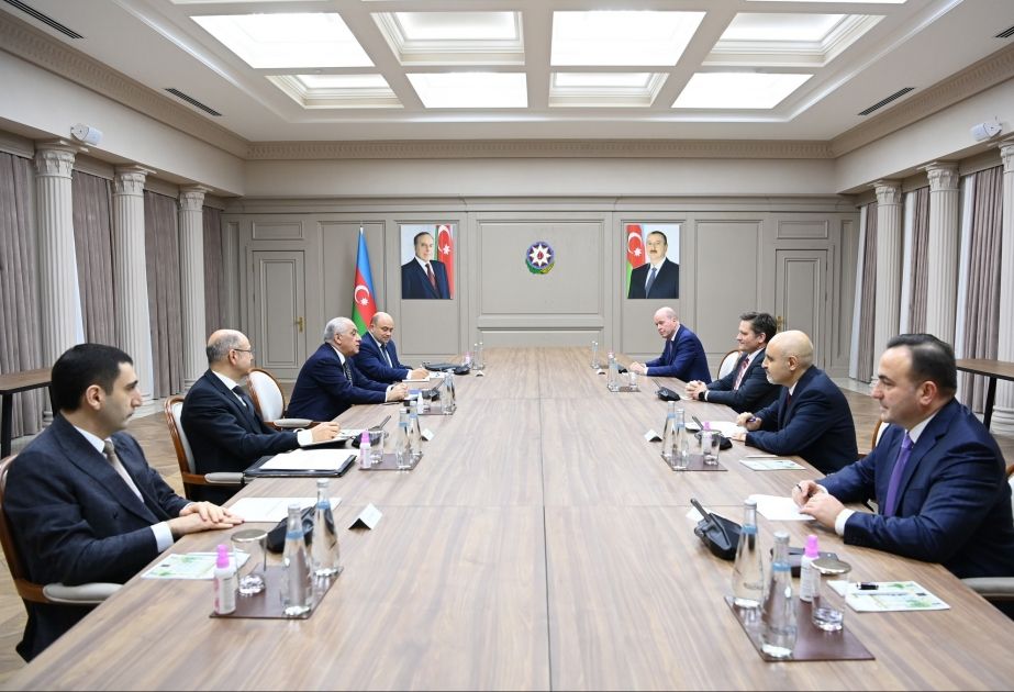 Azerbaijan Prime Minister meets BP Vice-President
