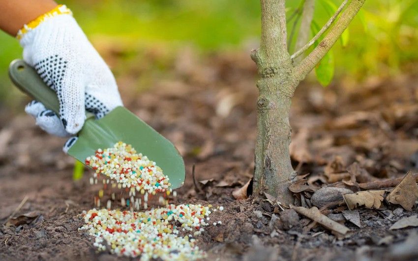 Azerbaijan imported fertilisers worth $72.047 mln in 2023