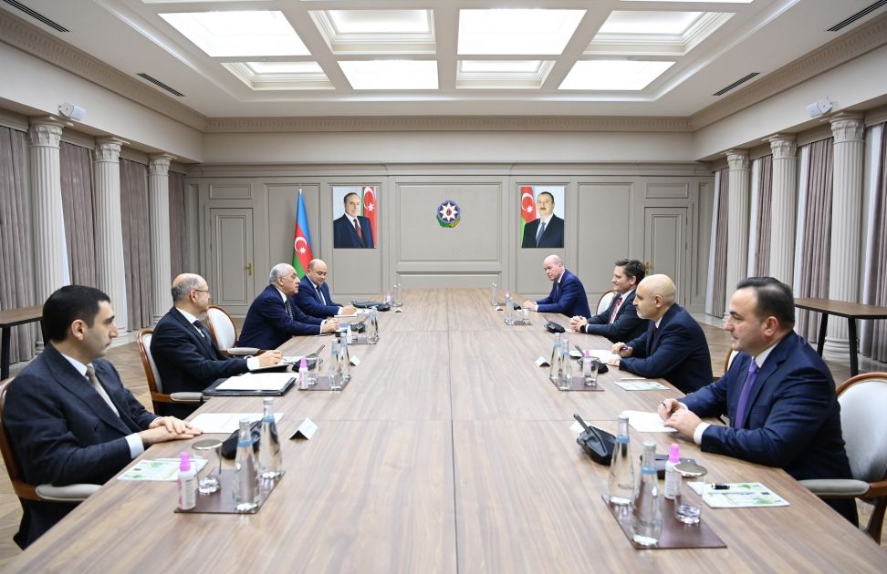 Executive vice-president of BP meets with Prime Minister Ali Asadov