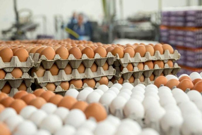 Supplies of eggs from Azerbaijan to Russia reach 3.3 million pieces