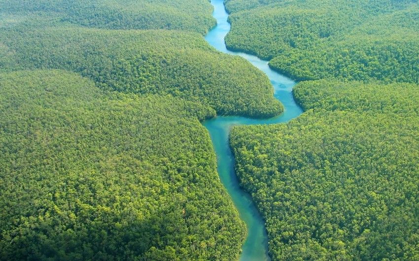 Experts names main reason for record drought in the Amazon