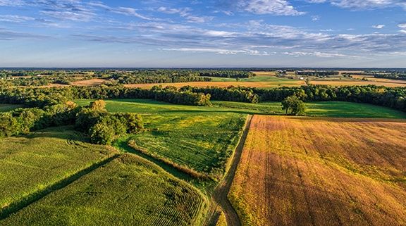 Azerbaijan reveals statistics about changed designation of lands last year