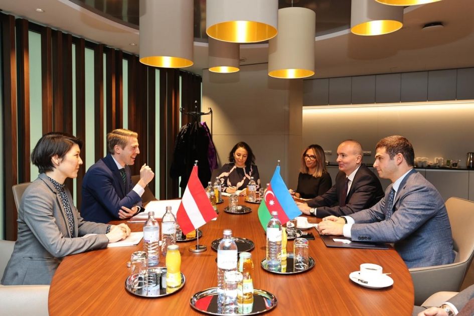 Delegation of Azerbaijan's SMBDA visits Austria [PHOTOS]