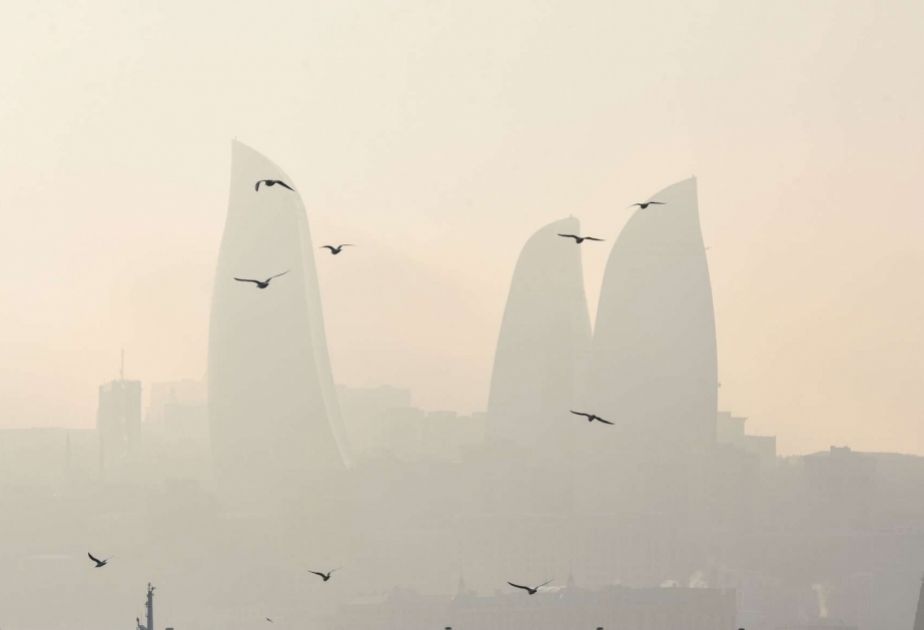 Amount of dust in air in Baku is 2 times higher than normal
