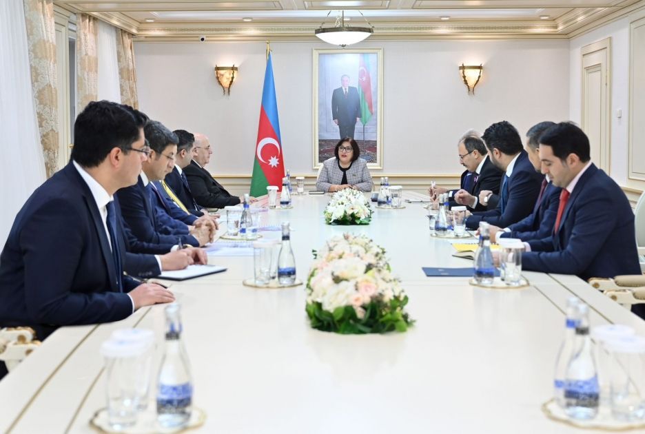 Azerbaijani Parliament Speaker receives delegations of GNAT & TURKPA