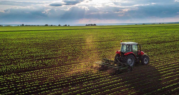 Azerbaijan's agricultural sector grows