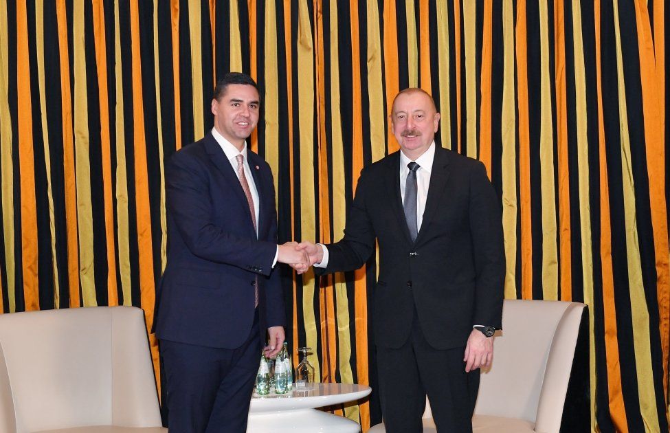President Ilham Aliyev meets with OSCE Chairman-in-Office in Munich [PHOTOS\VIDEO]