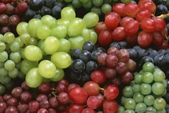 Azerbaijan's grape export decreases