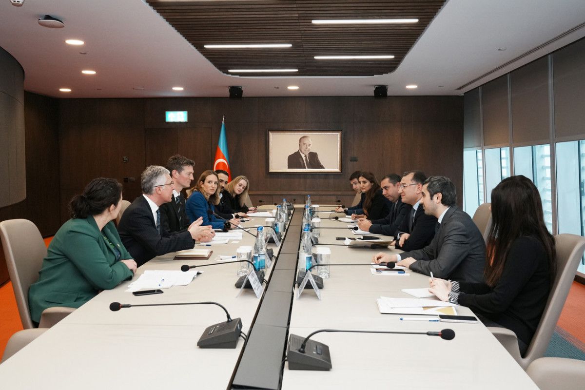 Azerbaijan, UK mull cooperation over COP