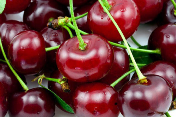 Azerbaijan indicates rise in cherry export