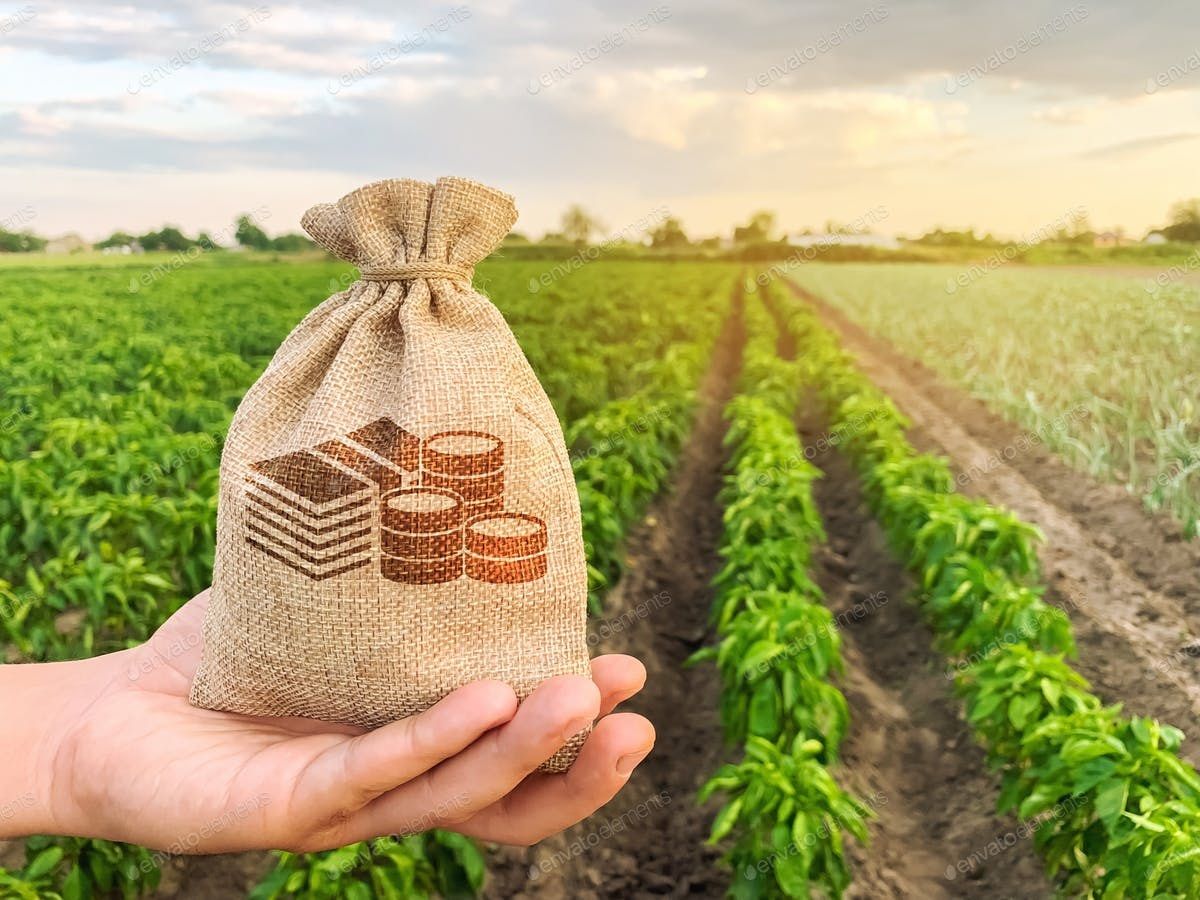 Preferential loans for agricultural sector ongoing for individuals and businesses