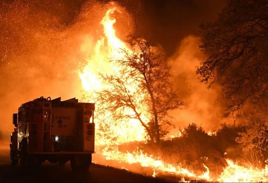 Wildfires in Texas engulfes more than 200,000 hectares