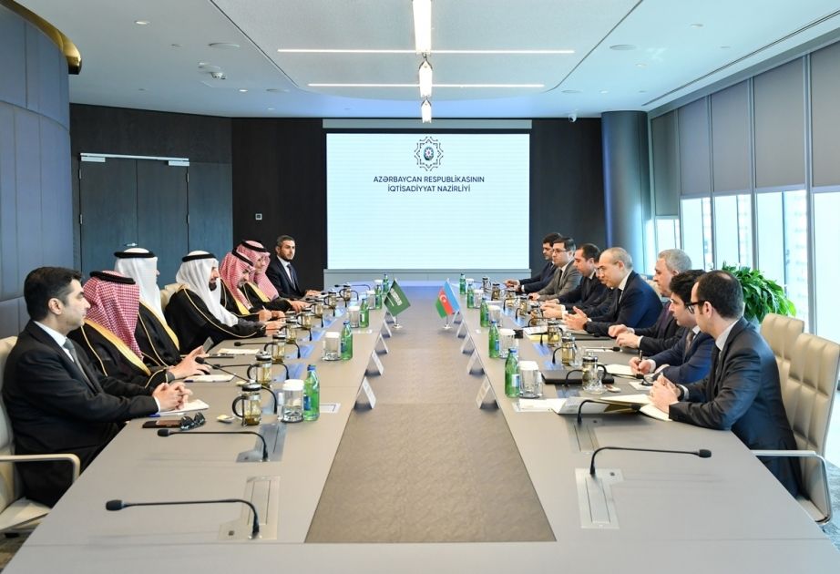 Azerbaijan, Saudi Arabia mull tourism cooperation