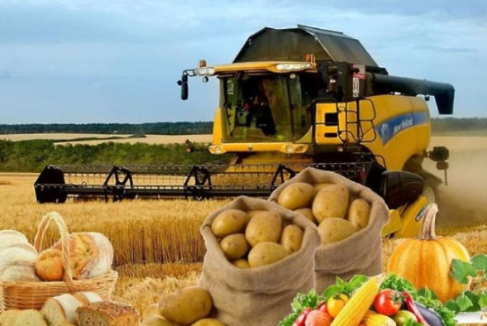 Azerbaijani agricultural exports increase