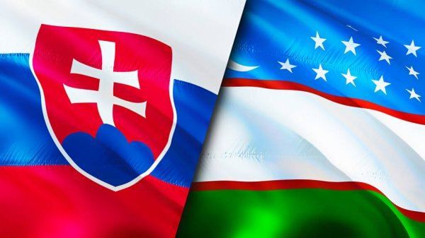 Uzbekistan, Slovakia discuss bilateral cooperation