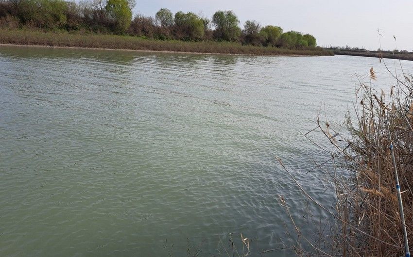 Azerbaijan, Georgia draft action plan for Kura River Basin protection