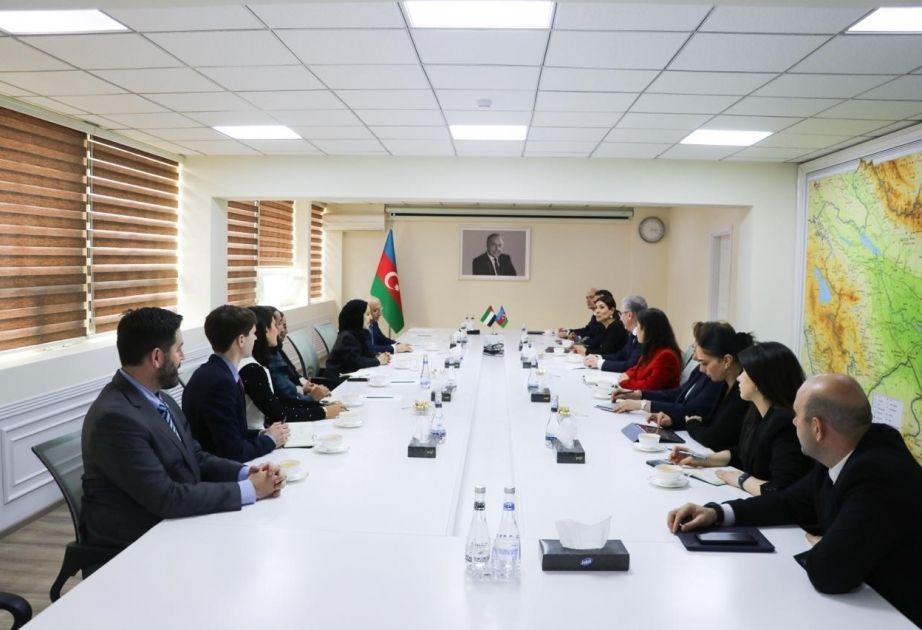 Azerbaijan, UAE discuss preparations for COP29