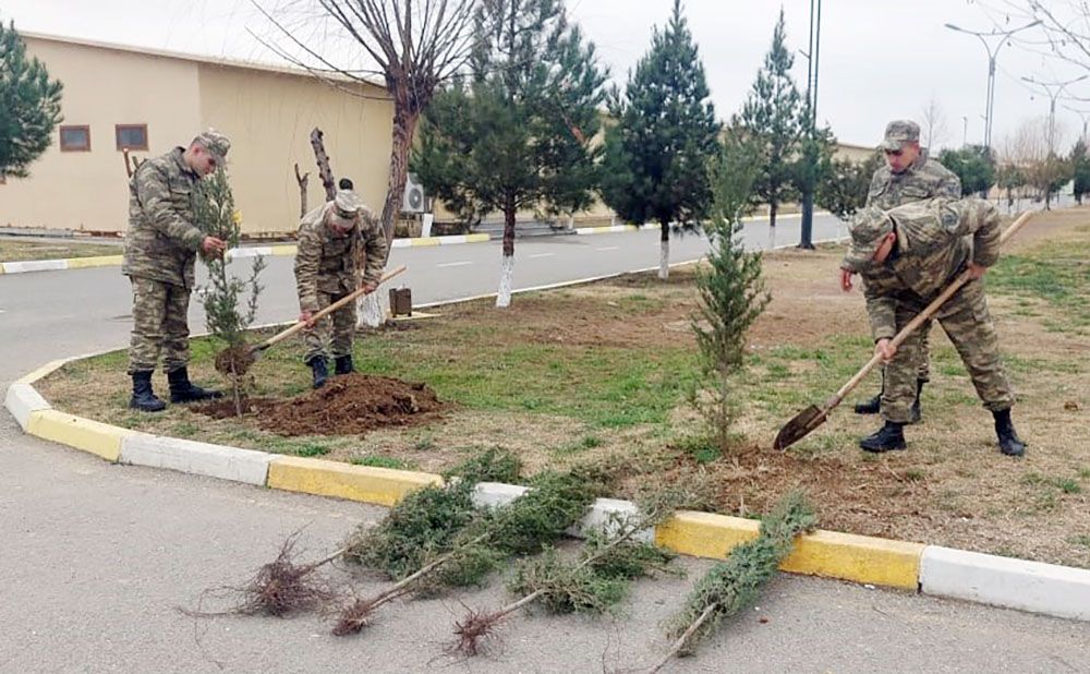 Azerbaijan Army continues tree-planting campaign [PHOTOS]