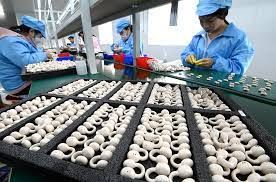 China's Bluetooth headphone market grows in 2023