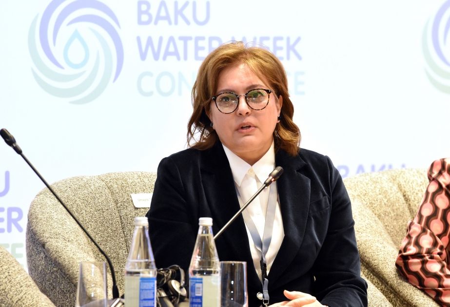 Deputy Minister: Azerbaijan to address water scarcity challenge with COP29 participating states