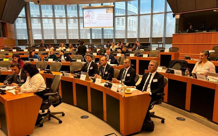 Azerbaijan gets report submitted to Energy Security Committee of Euronest PA canceled