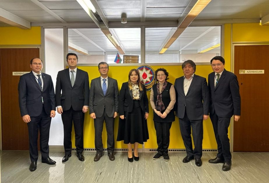 Head of Turkish Culture and Heritage Foundation meets with permanent reps of Turkic states at UNESCO