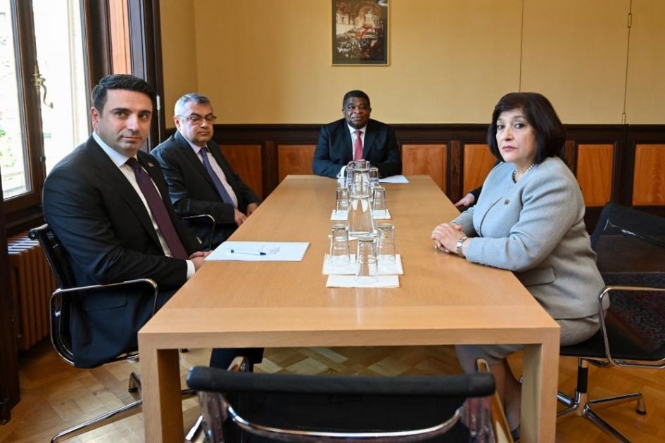Meeting of Azerbaijani and Armenian parliament speakers took place in Geneva [PHOTOS]