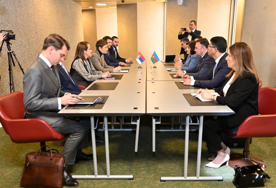 Chairman of Azerbaijani parliament met with his Serbian counterpart