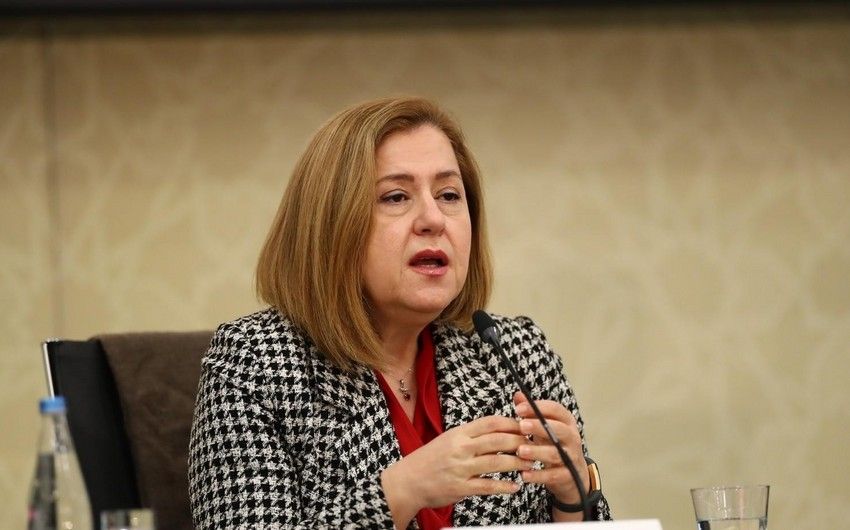 WHO official emphasizes need for ensuring accessibility to mental health services in Azerbaijan