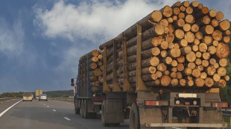 Azerbaijan increases import of Russia's forest products