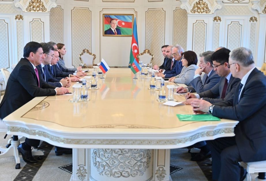 Azerbaijan's Parliament Speaker meets with governor of St. Petersburg